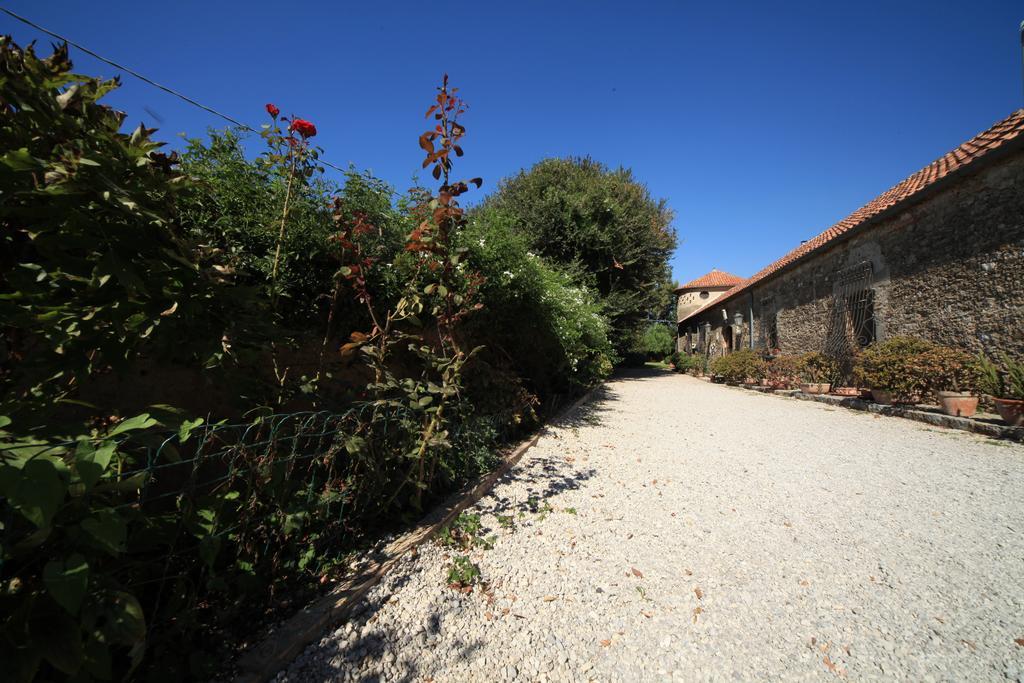 Azienda Agrituristica Seliano Paestum Bagian luar foto
